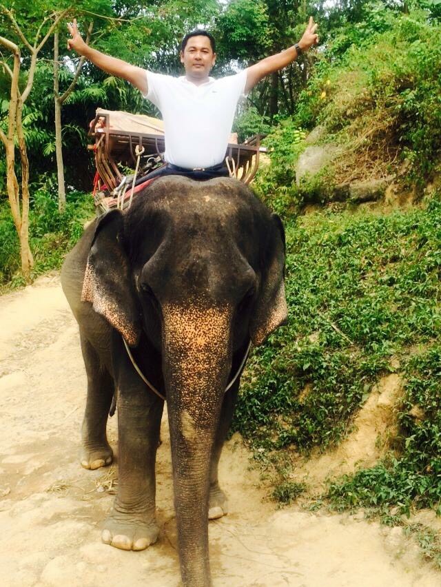 phuket elephant trekking